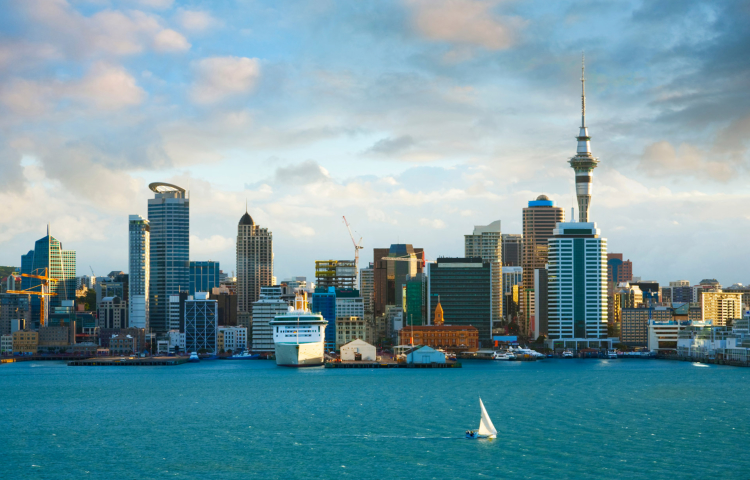 best new zealand study abroad consultancy in ahmedabad